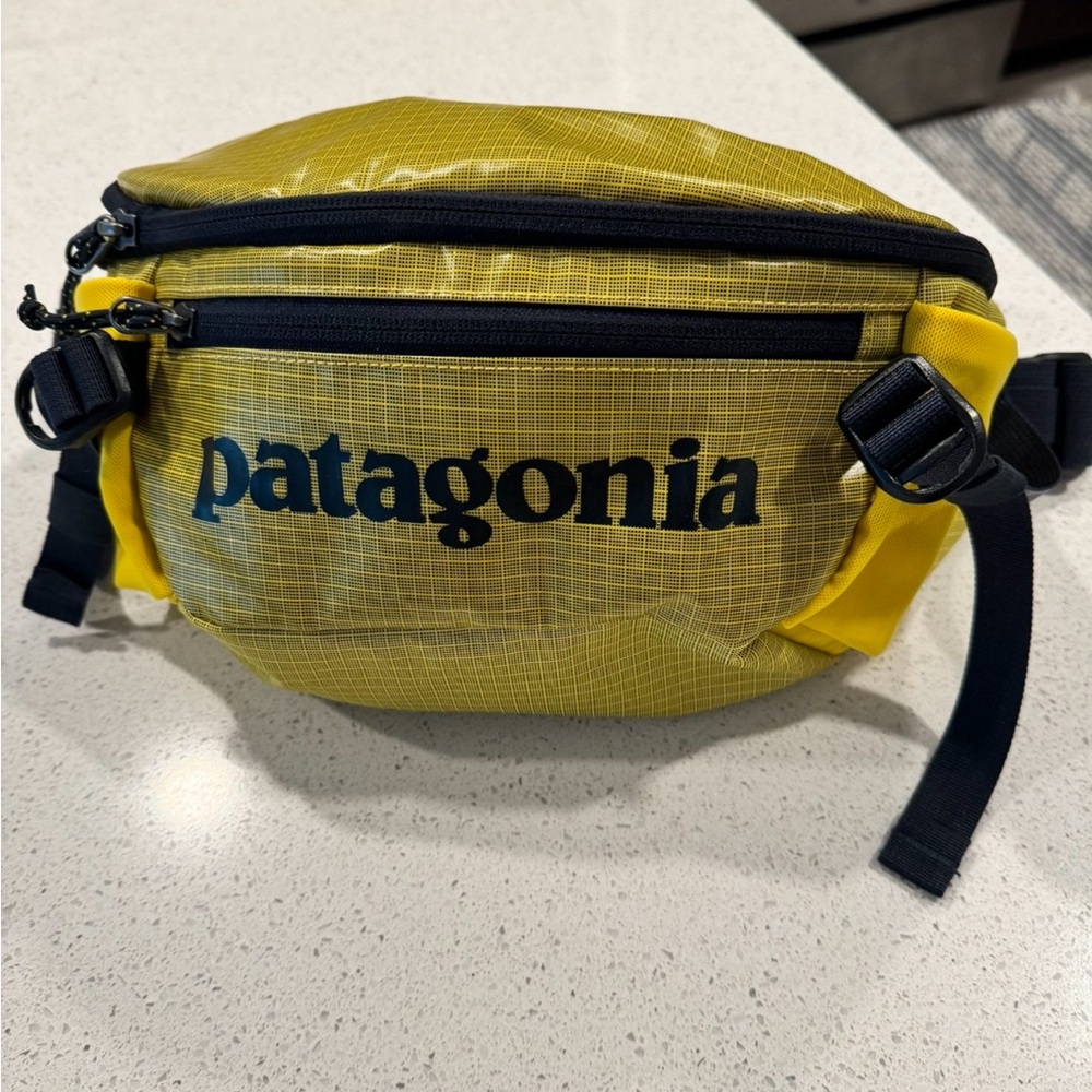 Patagonia Fanny pack/cross body bag. Can fit a lot of stuff in this! Brand new.